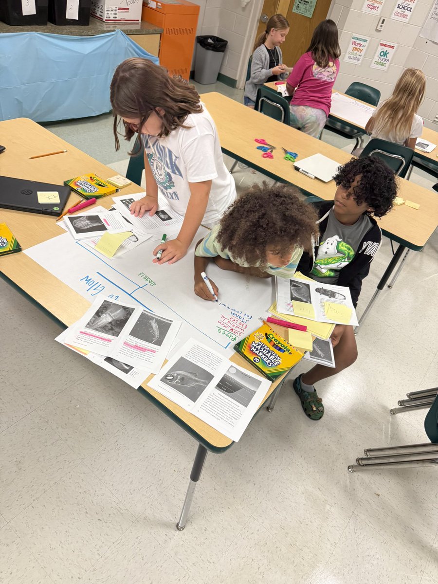 Sarah Kinney (@thirdgradevibes) on Twitter photo Bioluminescence is our word of the week! We have created trading cards, tree maps, and summaries that explain our learning! <a href="/VolusiaTLL/">VCS-Teaching, Leading, & Learning</a> <a href="/volusiaschools/">Volusia County Schools</a> <a href="/CitrusGrove_VCS/">Citrus Grove Elementary, Deland FL</a> <a href="/ThinkingMaps/">Thinking Maps</a> Bioluminescence is our word of the week! We have created trading cards, tree maps, and summaries that explain our learning! <a href="/VolusiaTLL/">VCS-Teaching, Leading, & Learning</a> <a href="/volusiaschools/">Volusia County Schools</a> <a href="/CitrusGrove_VCS/">Citrus Grove Elementary, Deland FL</a> <a href="/ThinkingMaps/">Thinking Maps</a>