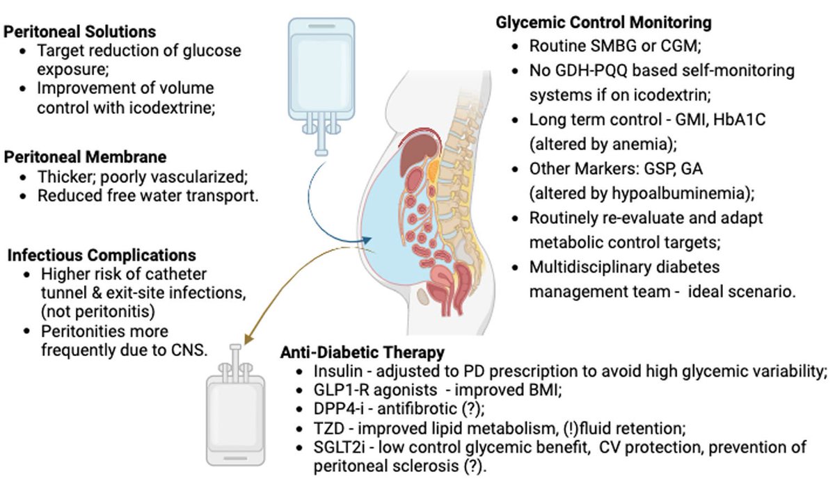 AvelRomanNeph's tweet image. DP px con DM

La DP opción en pxs con DM, pero individualizar:
✔️ Preseva FRR, Tolerancia hemodinámica
⚠️ Sol.glucosadas 🔼 CV y complicaciones metabólicas
❗HbA1c puede ser poco fiable; se sugiere GA y CGM

#PDFirst #PeritonealDialysis 

DOI: 10.1016/j.nefro.2025.01.010