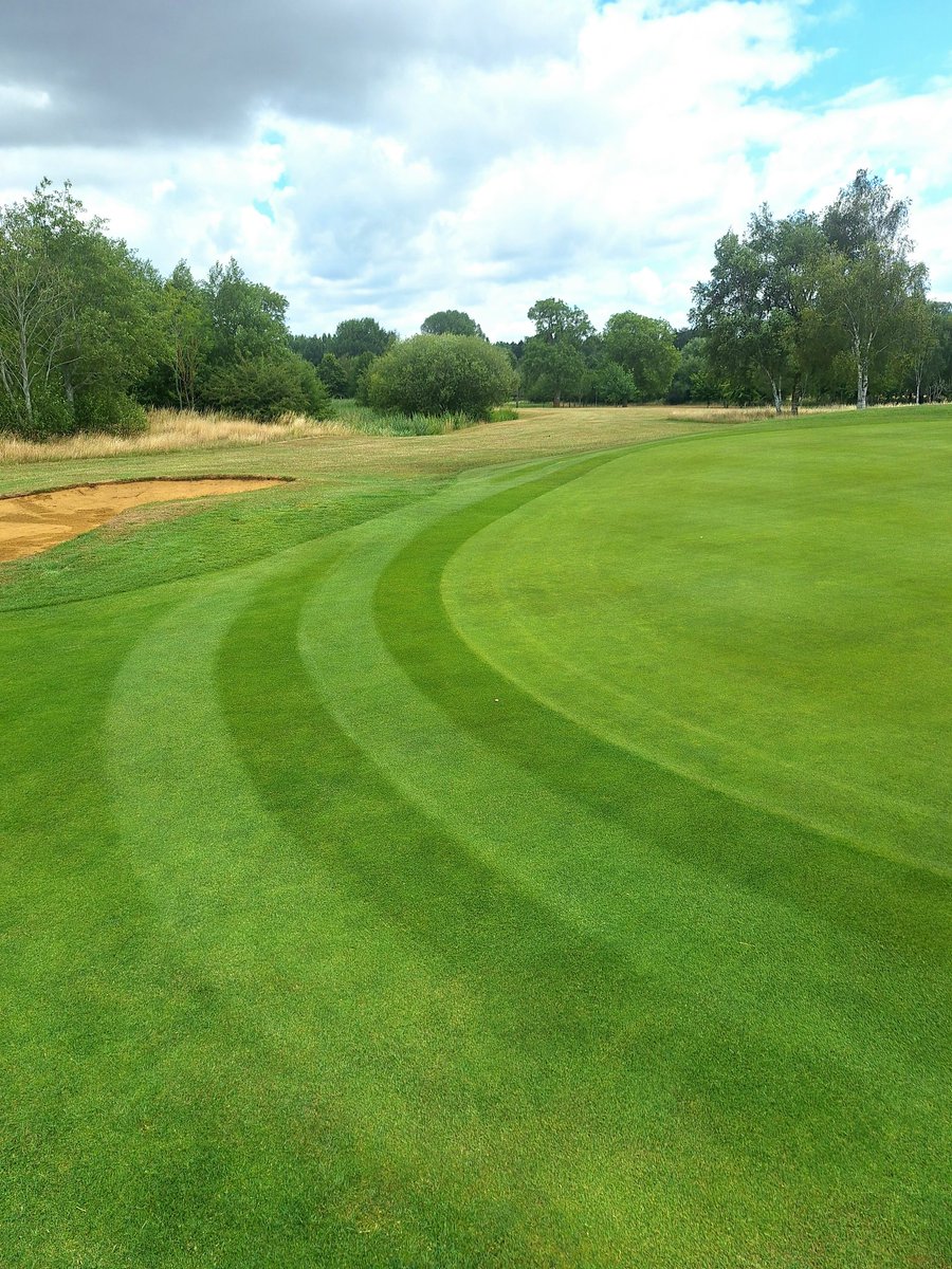 Callum Bradshaw tweet media