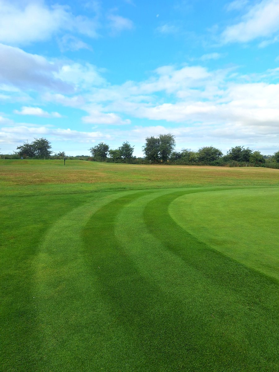 Callum Bradshaw tweet media