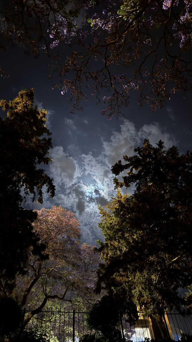 F9But's tweet image. 