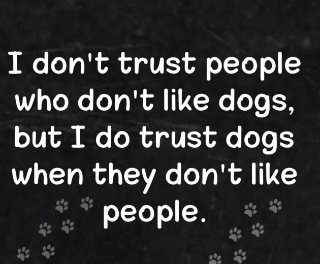 DogLovers03's tweet image. 