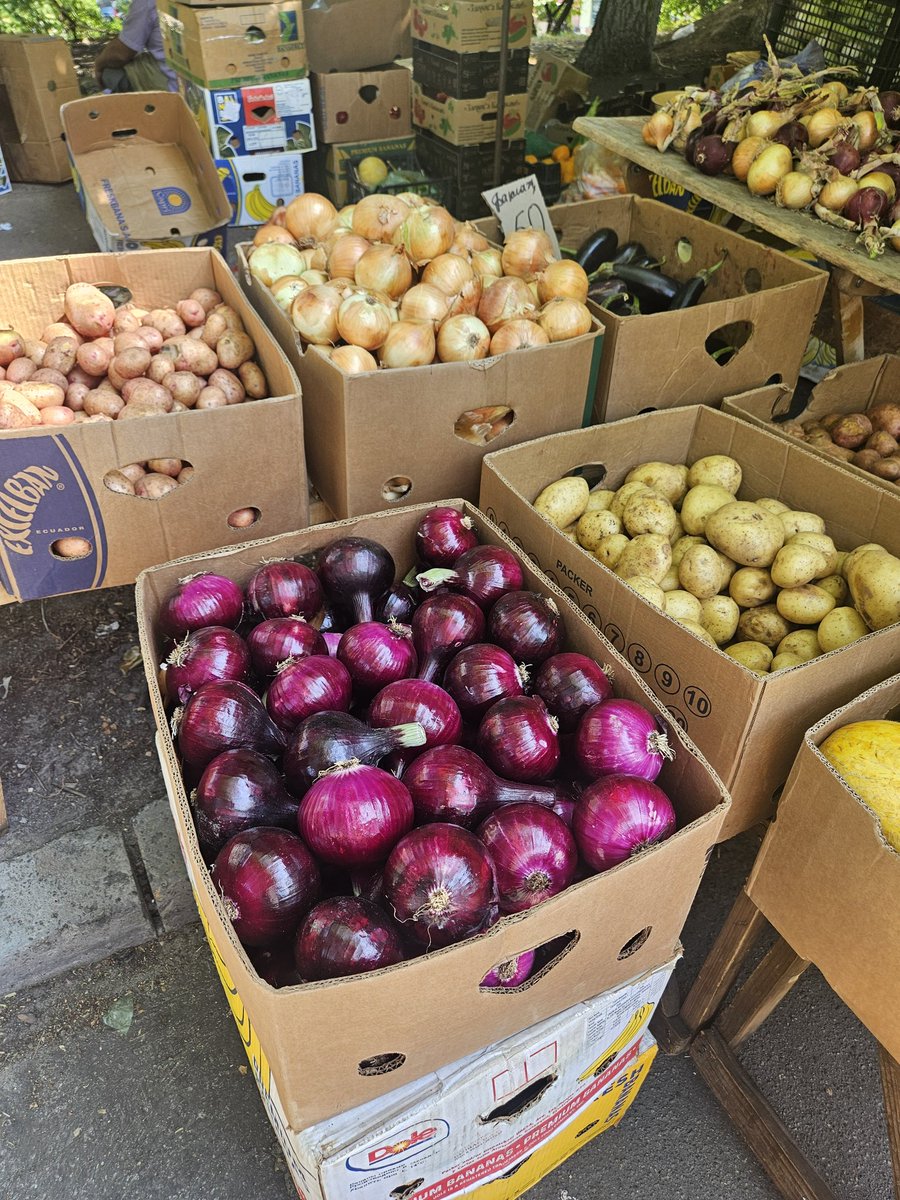 LadyBugFella's tweet image. Ukrainian market 🩵💛
There are no vegetables in the world as delicious as those in Ukraine...
🩵💛🩵💛🩵💛🩵💛🩵💛🩵💛🩵💛