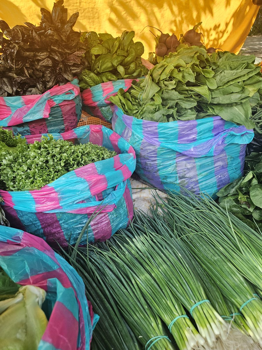 LadyBugFella's tweet image. Ukrainian market 🩵💛
There are no vegetables in the world as delicious as those in Ukraine...
🩵💛🩵💛🩵💛🩵💛🩵💛🩵💛🩵💛