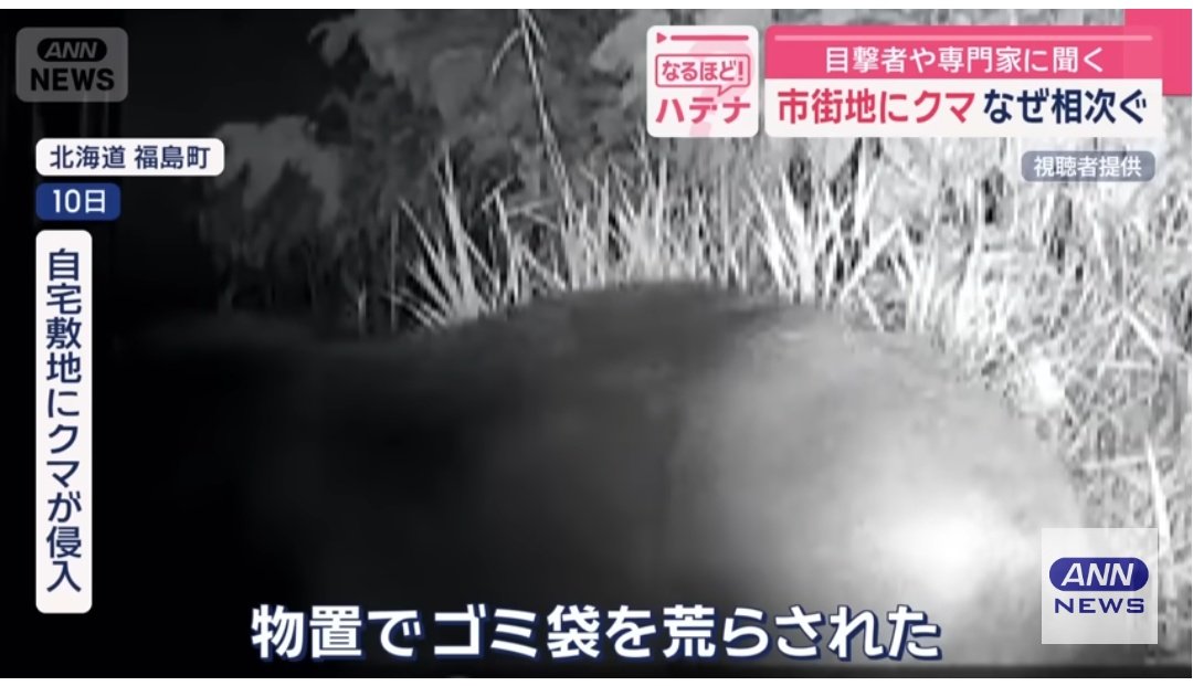 kumamoriBranch's tweet image. こんなに山が近い地域であちこちに誘引物があり手に入るような状態なら繰り返し来てしまう!これはとっくの昔からわかりきってること!クマはクマとして行動しているだけ!北海道は税金を調査研究や捕殺関連にかけるよりも!ずっとずっと「人の教育」と防除対策に使わないと!
youtu.be/FuWO1_4ZdRA?si…