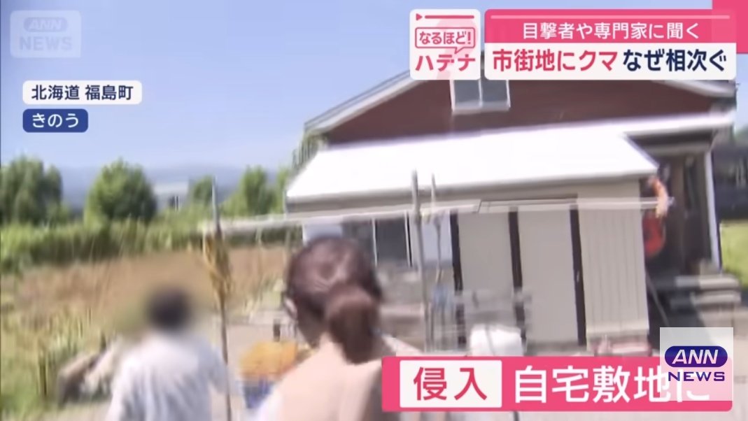 kumamoriBranch's tweet image. こんなに山が近い地域であちこちに誘引物があり手に入るような状態なら繰り返し来てしまう!これはとっくの昔からわかりきってること!クマはクマとして行動しているだけ!北海道は税金を調査研究や捕殺関連にかけるよりも!ずっとずっと「人の教育」と防除対策に使わないと!
youtu.be/FuWO1_4ZdRA?si…