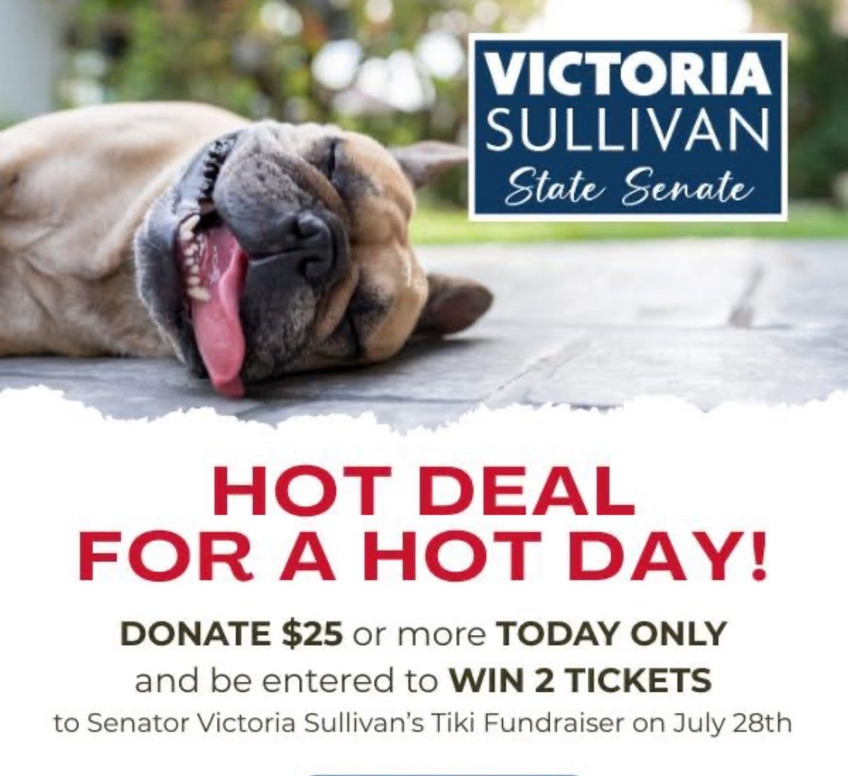 victoria4nh's tweet image. Donate $25 today for a chance to win 2 tickets to the Tiki Event on July 28th.
secure.anedot.com/victoriasulliv…