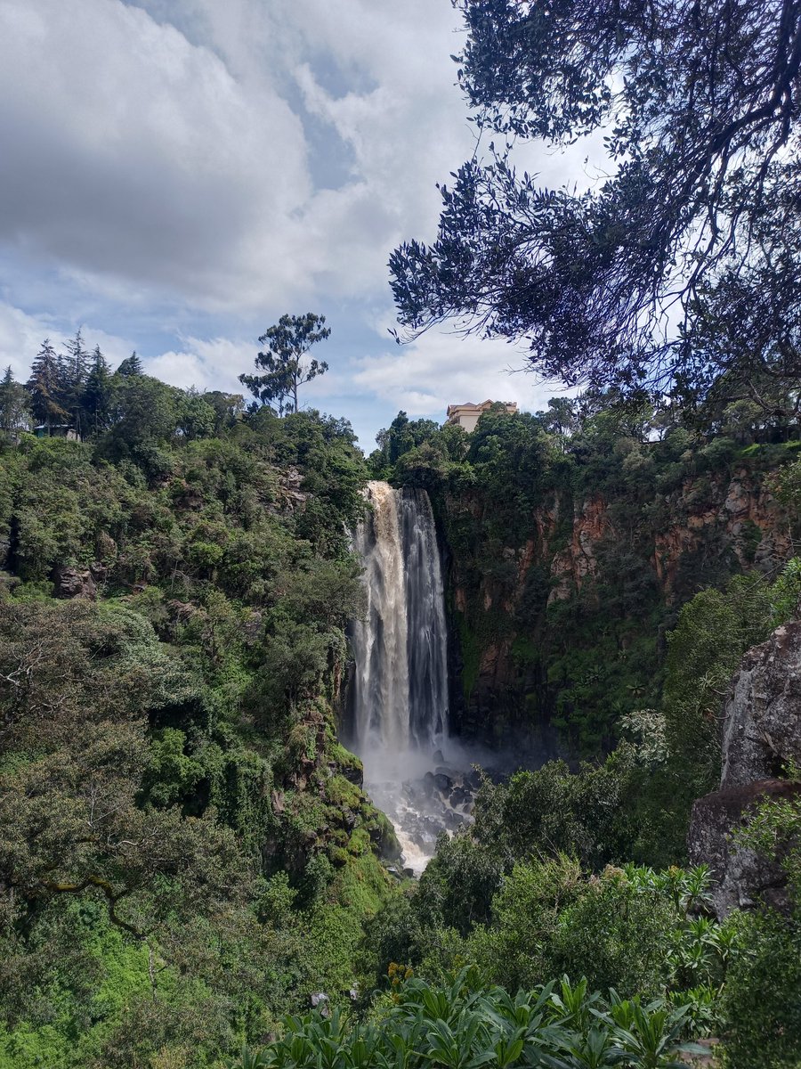 RealDonKitheka's tweet image. The Majestic Thompson Fall's, nestled in the highest town in Kenya, Nyahururu.
I love love just chilling here, watching the water's of Aberdare rushing down magically over the rocks. Nothing beats being a Kenyan maze. #hapanihome Maraga