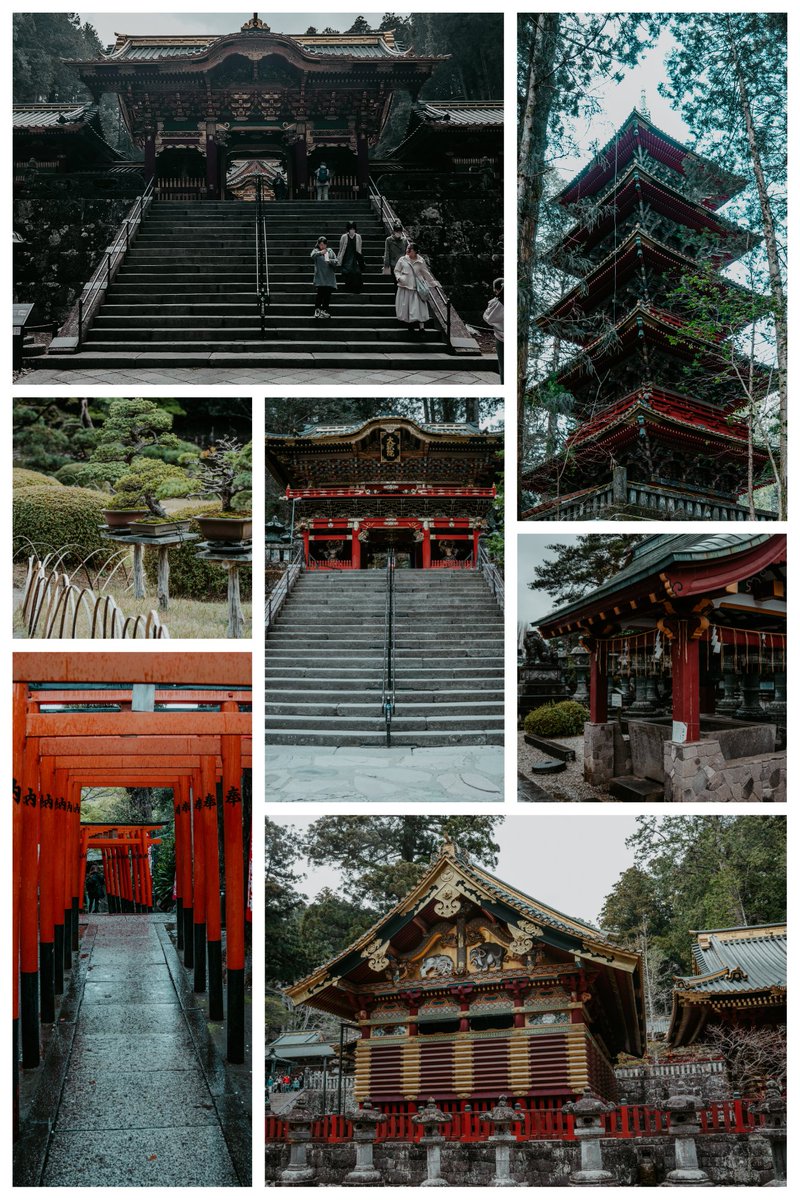 Heute haben wir einige der beeindruckendsten Tempel in Japan besucht. 🏯
Torii-Gänge, Schreine, alte Holzfassaden – alles wirkt hier so ruhig und respektvoll. ⛩
Besonders beeindruckend: die Pagode im Wald und die Details an den Dächern.
Man merkt schnell: Hier geht’s nicht nur