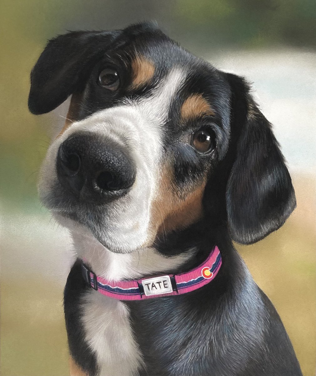 The lovely "Tate" a joy to portray sadly a memorial portrait, hopefully it will help keep her spirit alive. 🐕
Pastel pencil and soft pastel on pastelmat, hope everyone's well 🙂.
#art #dog #dogportrait #dogart #realism #pastels #pastelart #pastelpencils #softpastels #drawing