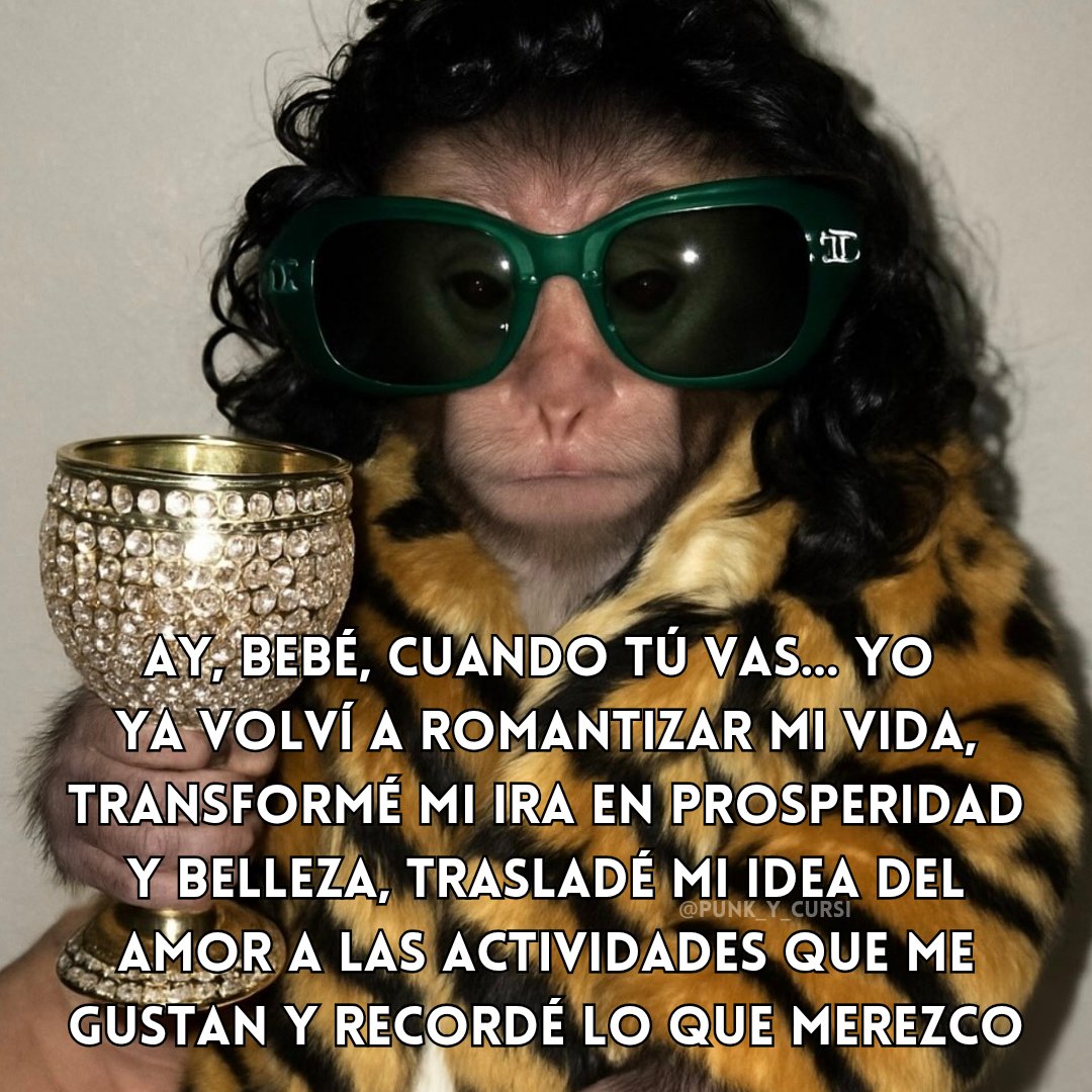 👑👑👑👑