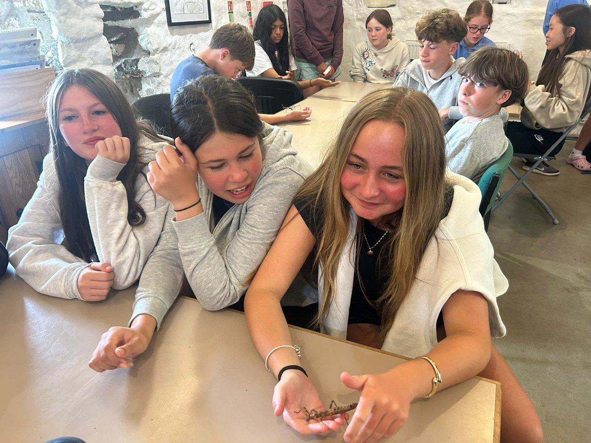 #OutdoorEd: Year 8 have been brilliant during their time in Wales, engaging with every challenge, task and activity thrown at them.

Images are from today’s afternoon sessions.

#WeAreBohuntWokingham