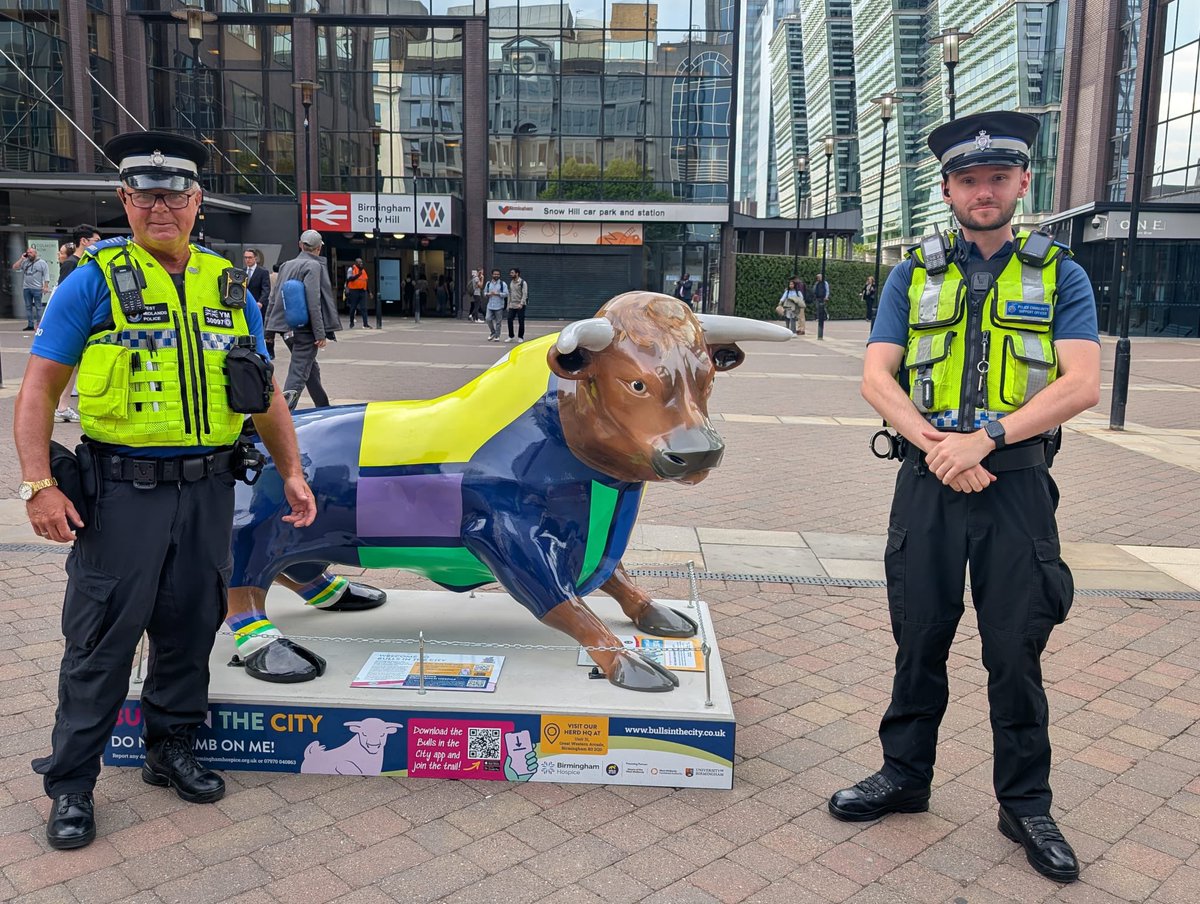 ST_Police's tweet image. Bulls in the City

40 giant bulls &amp;amp; 88 calves are stampeding into Brum in a vibrant art trail celebrating the iconic Bull &amp;amp; supporting @brumshospice 

Our officers have spotted their 1st, only another 39 to find….

Issues on public transport? Text SeeSay to 81018 with the info🚏