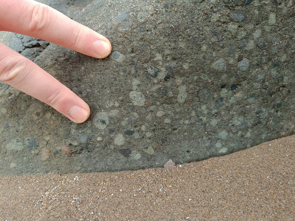 Isabel Queay tweet media