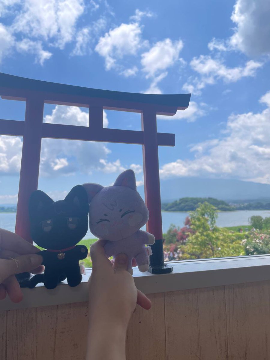 _chromestar_'s tweet image. sande...nyang photodump from the trip bc I miss my partner and sandeoki (I only have the black cat,,)