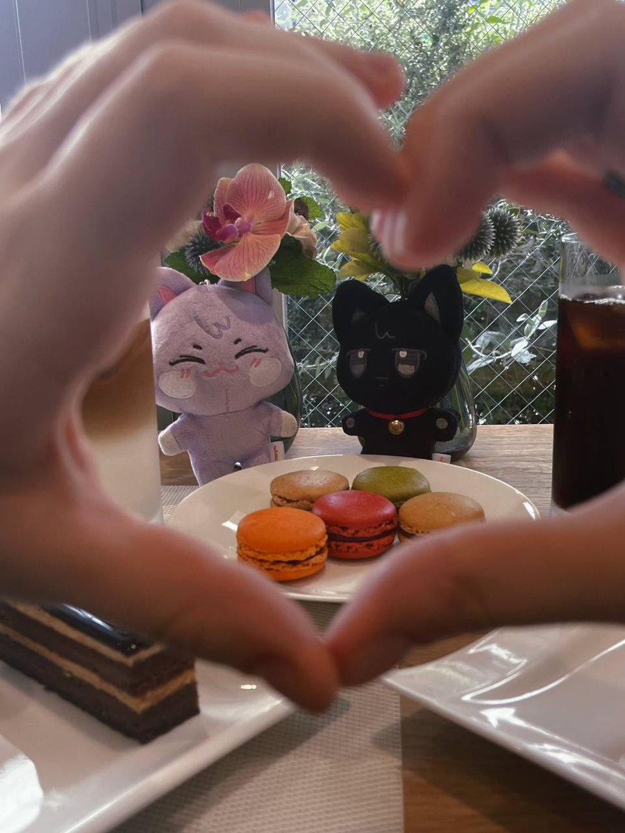 _chromestar_'s tweet image. sande...nyang photodump from the trip bc I miss my partner and sandeoki (I only have the black cat,,)