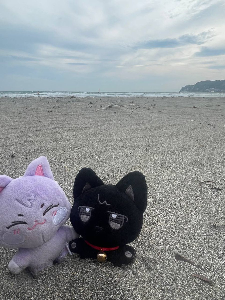 _chromestar_'s tweet image. sande...nyang photodump from the trip bc I miss my partner and sandeoki (I only have the black cat,,)