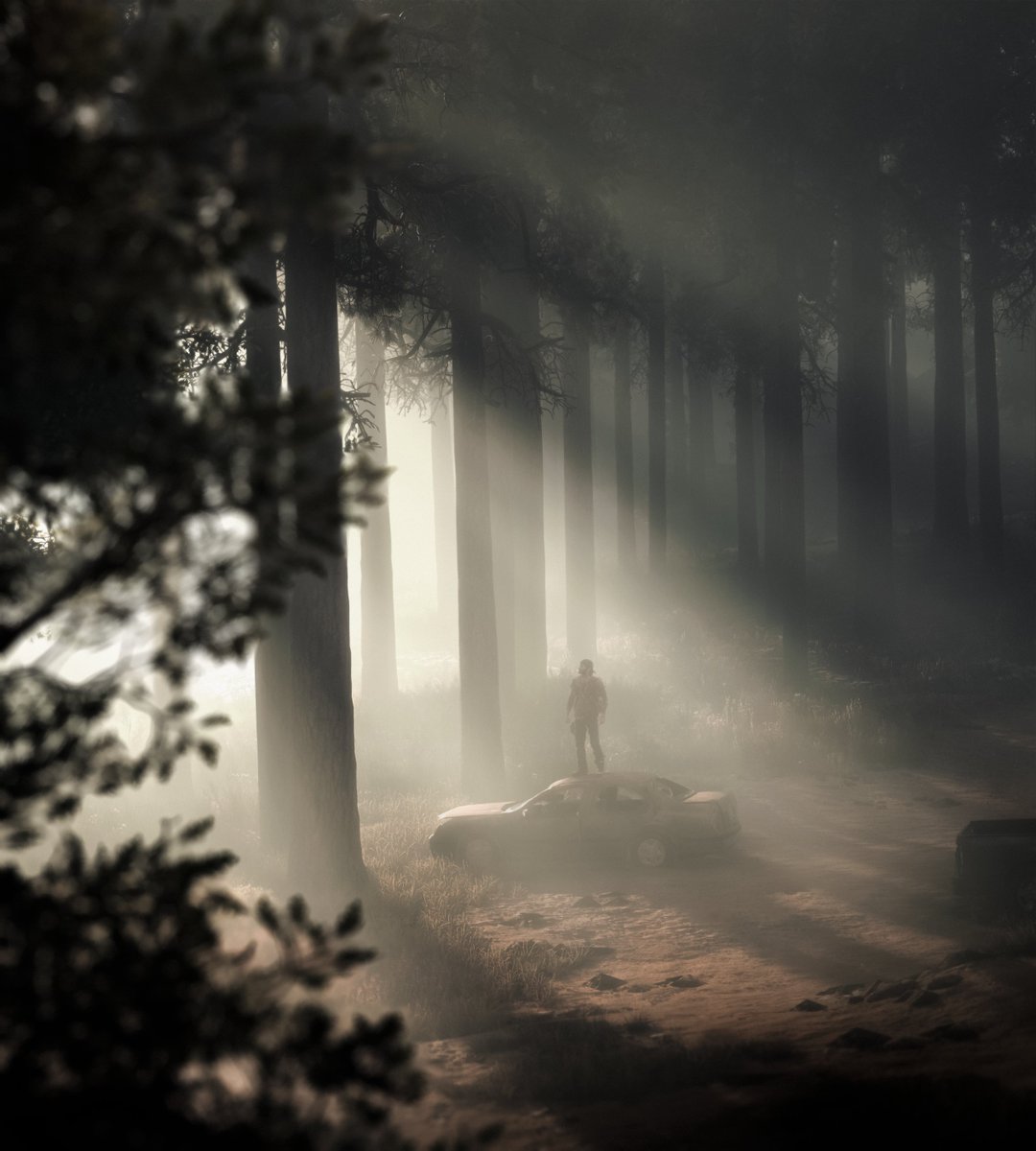 rizaldefa23's tweet image. Days Gone | PC