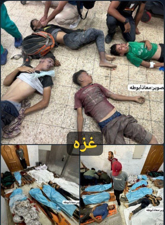 rjoub_alsareh's tweet image. الدم يراق والأمه تتفرج ‼️‼️

الى متى هذا الذل ؟؟؟؟