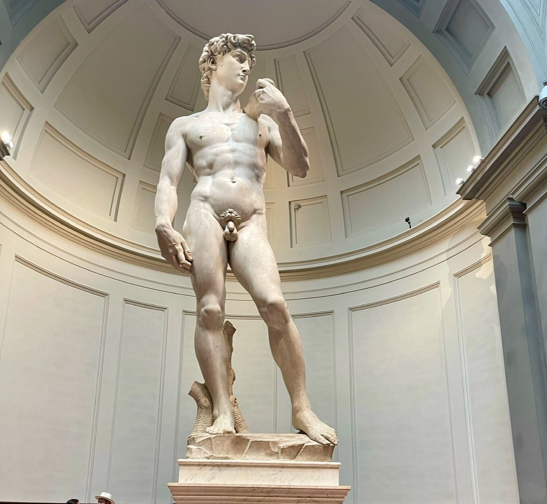 Berkeliana's tweet image. #Warning #ViewerDiscretionAdvised
Florencia centro histórico, Galería de la Academia, Palazzo Vecchio. Arte por todo lado.