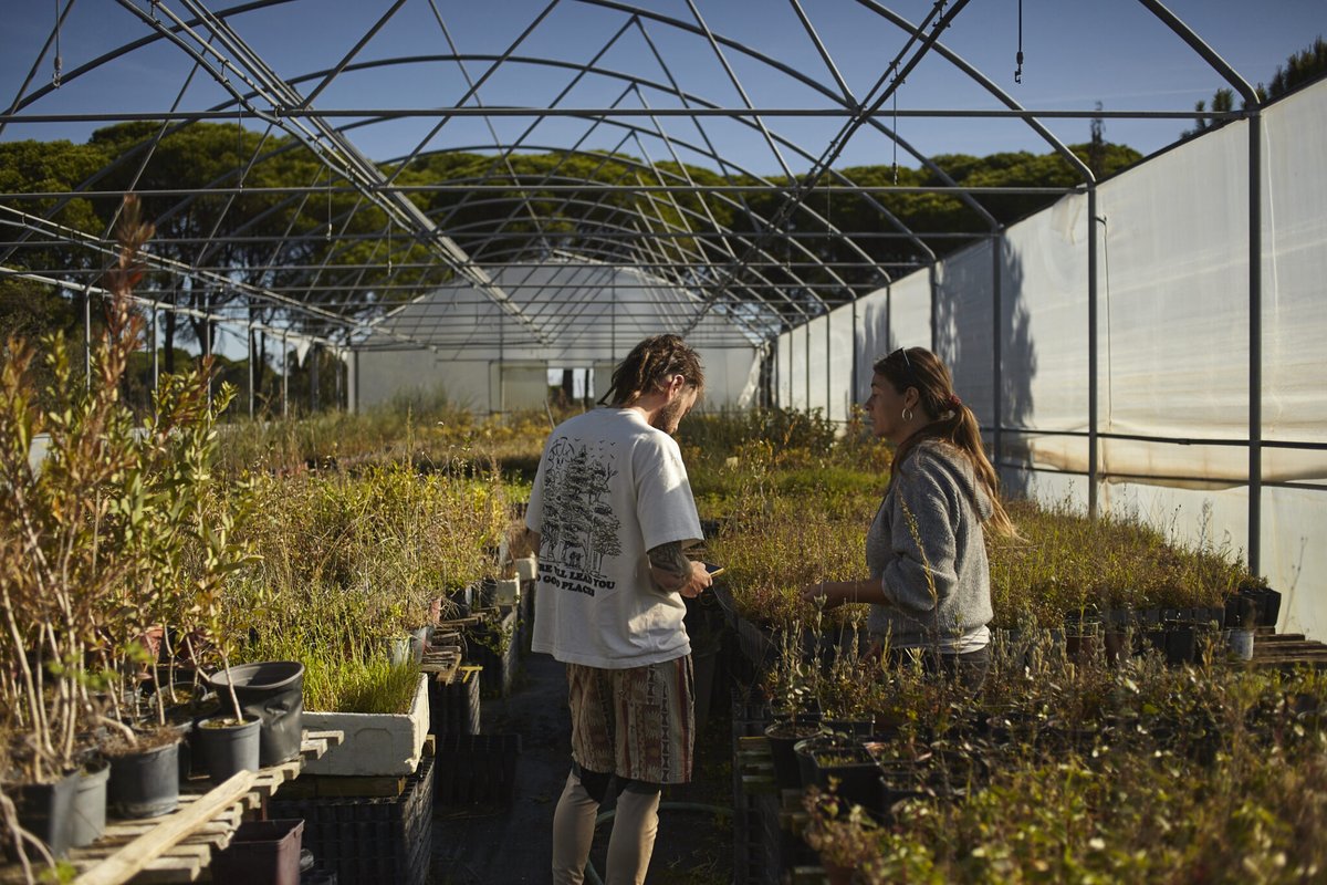 ⭕️Traditional Dream Factory: el oasis regenerativo de tecnólogos europeos en busca de un futuro más sostenible🔗👉 construnews.com/sostenibilidad… Una comunidad en Portugal fusiona #arquitectura, #sostenibilidad y #blockchain para transformar complejo industrial en una aldea regenerativa