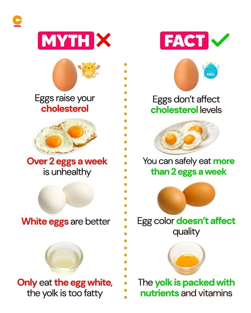 healthybodyhub_'s tweet image. 🍳 Still think 2 eggs a week is the limit? It's time to bust some myths and let science speak👇👇👇