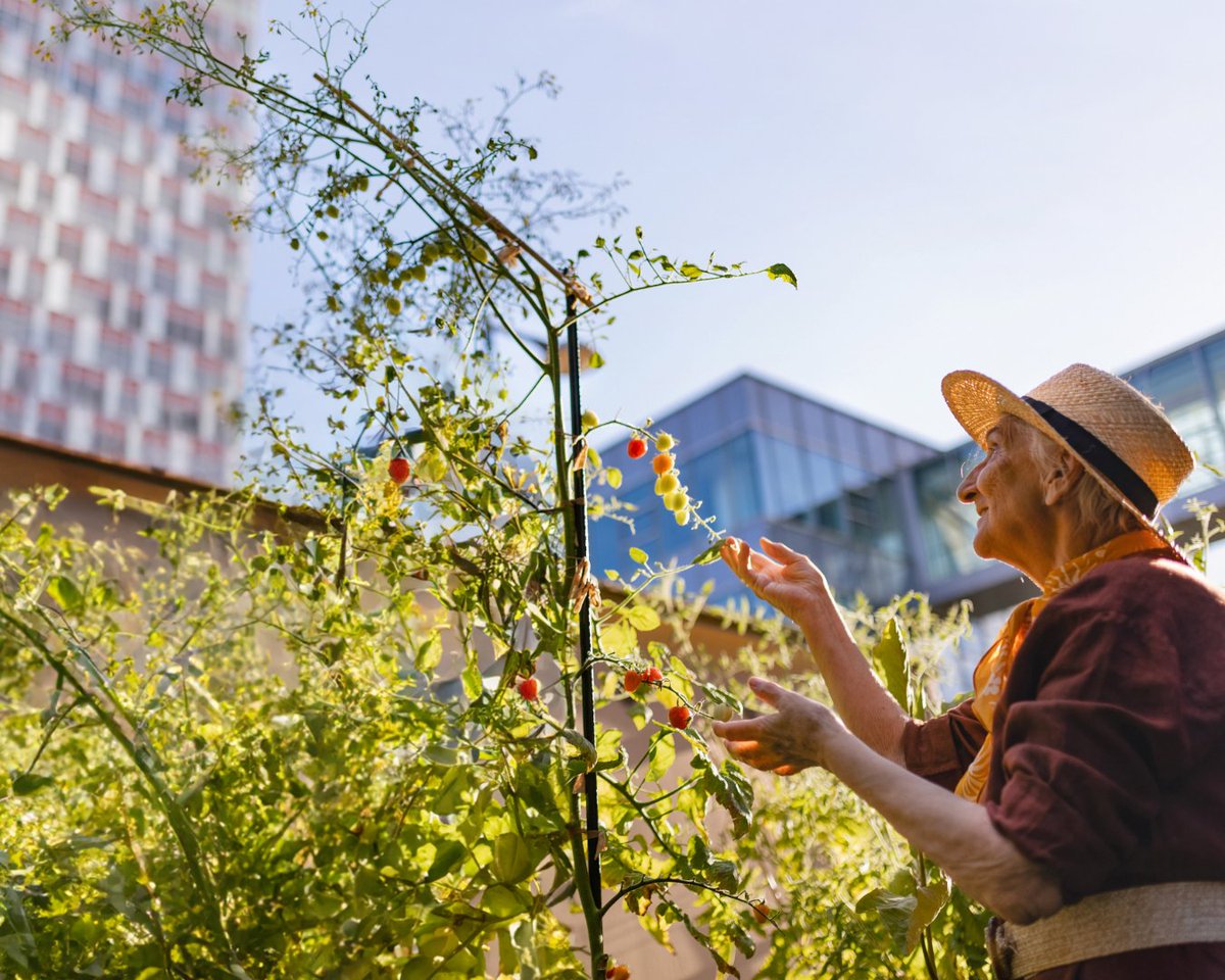 UMD Public Health (@umdpublichealth) on Twitter photo SPH prof <a href="/RachelRoGo/">Rachel Rosenberg Goldstein</a> and team lead project helping #Maryland farmers safely harvest and treat rainwater in the urban environment so both crops and consumers are protected
🌽 🥔 🌾
brnw.ch/21wUcfu
<a href="/UMD_AGNR/">College of Agriculture & Natural Resources</a> <a href="/UMDResearch/">UMD Research</a> SPH prof <a href="/RachelRoGo/">Rachel Rosenberg Goldstein</a> and team lead project helping #Maryland farmers safely harvest and treat rainwater in the urban environment so both crops and consumers are protected
🌽 🥔 🌾
brnw.ch/21wUcfu
<a href="/UMD_AGNR/">College of Agriculture & Natural Resources</a> <a href="/UMDResearch/">UMD Research</a>