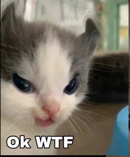 hehe