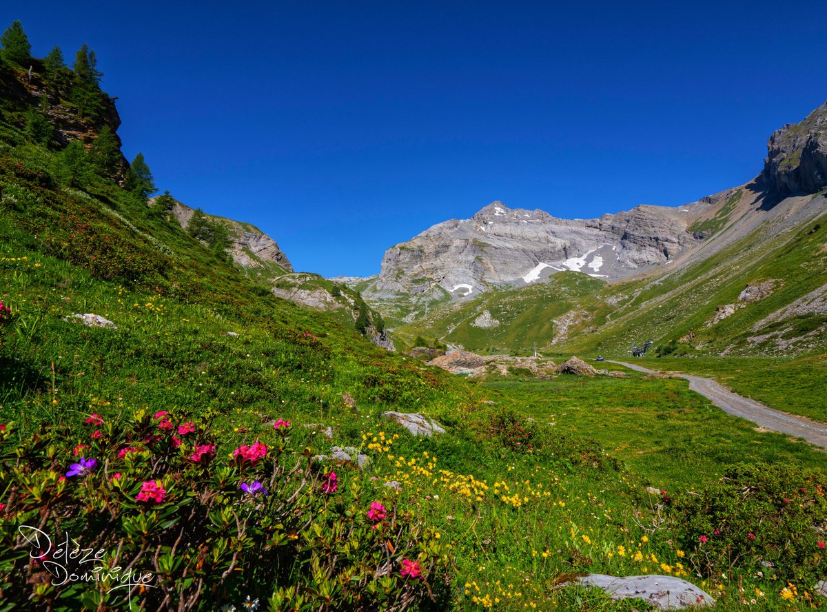 DelezeD's tweet image. Au cœur des montagnes, Jorasse, Ovronnaz ❤️‍🔥🏔️❤️‍🔥🏔️🇨🇭

#suisse #switzerland @valaiswallis @MySwitzerland_e