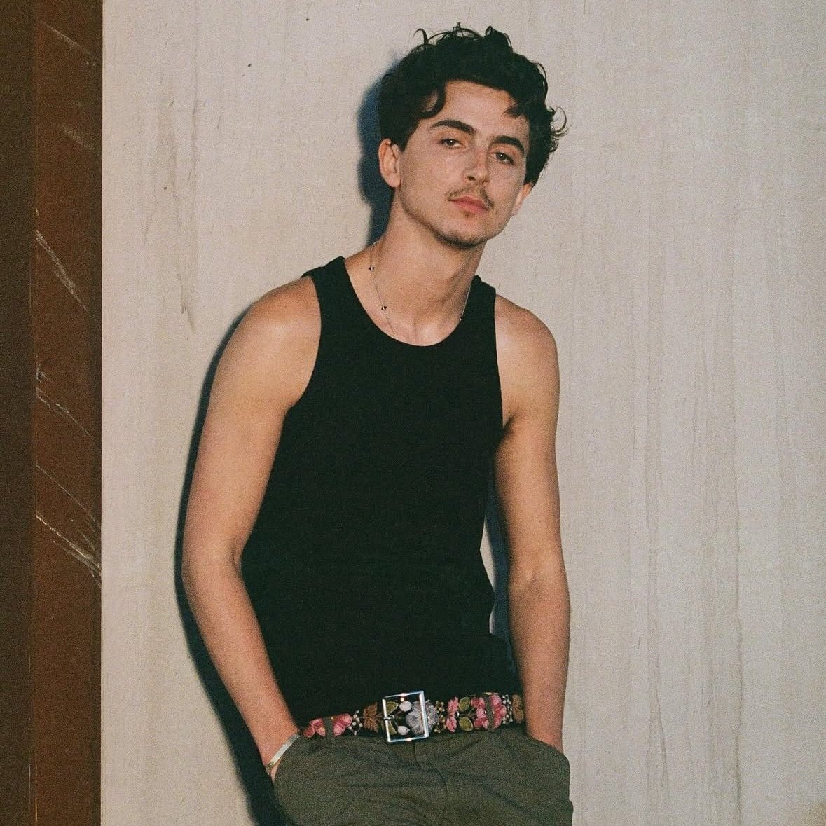 timotheeupdates's tweet image. Cash App confirmed that will be released limited-edition card stamps in collaboration with Timothée Chalamet soon.