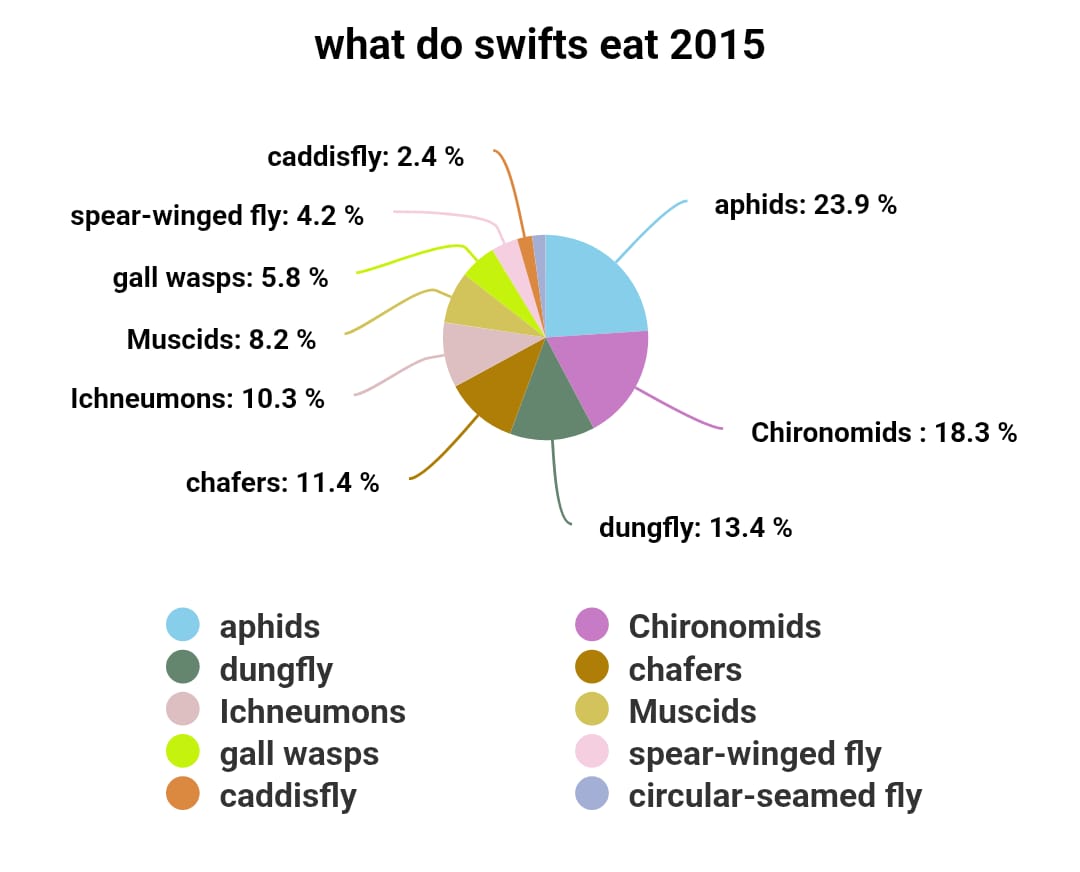 pie charts showing what swifts eat.  It's just a snap shot of what adults caught to feed the young in the days leading up to me collecting the droppings. 
It's just the top 10 insects in each sample
#apusapus #commonswift #actionforswifts #swiftconservation #saveourswifts