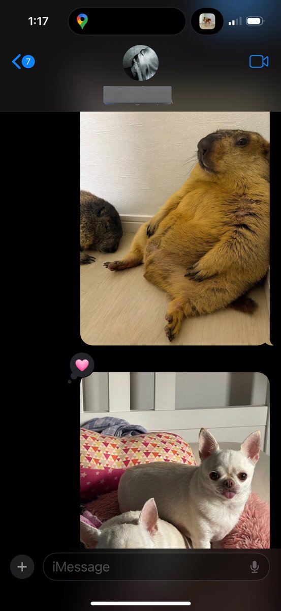 mariokartdwi's tweet image. shit I send my bf while he’s outside smoking