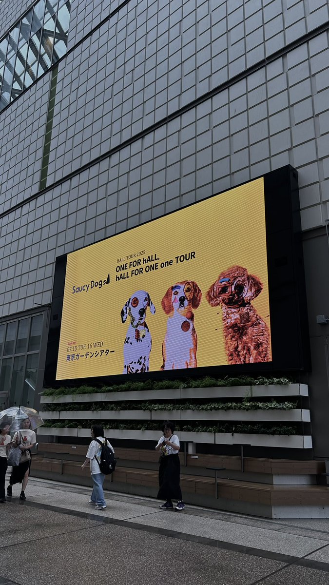 e7__sub's tweet photo. Saucy Dog HALL TOUR 2025
 ONE FOR hALL, hALL FOR ONE one TOUR　

📍東京ガーデンシアター

Saucy Dogの曲もメンバーも言葉も全部が大好き🫶🏻
演出が好きすぎてずーっとドキドキしてた https://t.co/9Su19tP72d