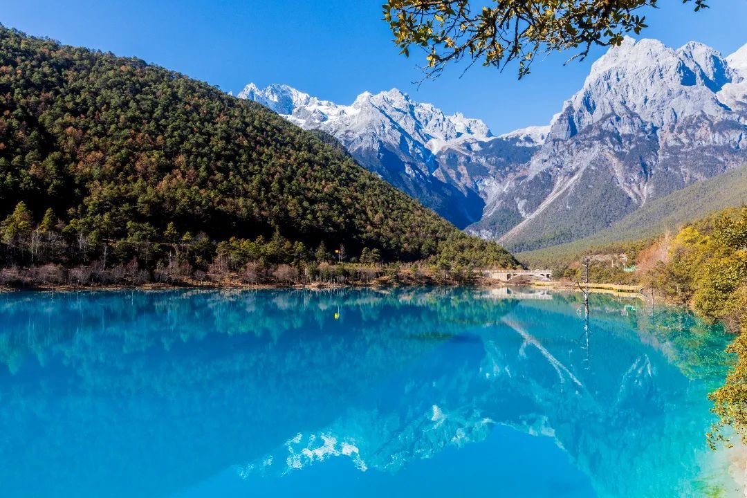 LijiangAmazing's tweet image. 🏔️Come to Jade Dragon Snow Mountain —and feel the raw power of nature!
Snow peaks, swirling clouds, and air so pure it stirs the soul ✨
#JadeDragonSnowMountain #NaturePower #EpicViews #Lijiang #YunnanWonders #MountainMagic