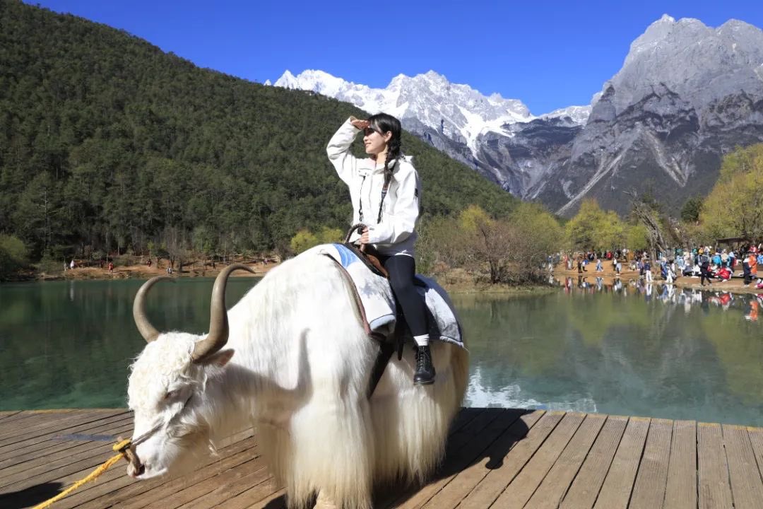 LijiangAmazing's tweet image. 🏔️Come to Jade Dragon Snow Mountain —and feel the raw power of nature!
Snow peaks, swirling clouds, and air so pure it stirs the soul ✨
#JadeDragonSnowMountain #NaturePower #EpicViews #Lijiang #YunnanWonders #MountainMagic
