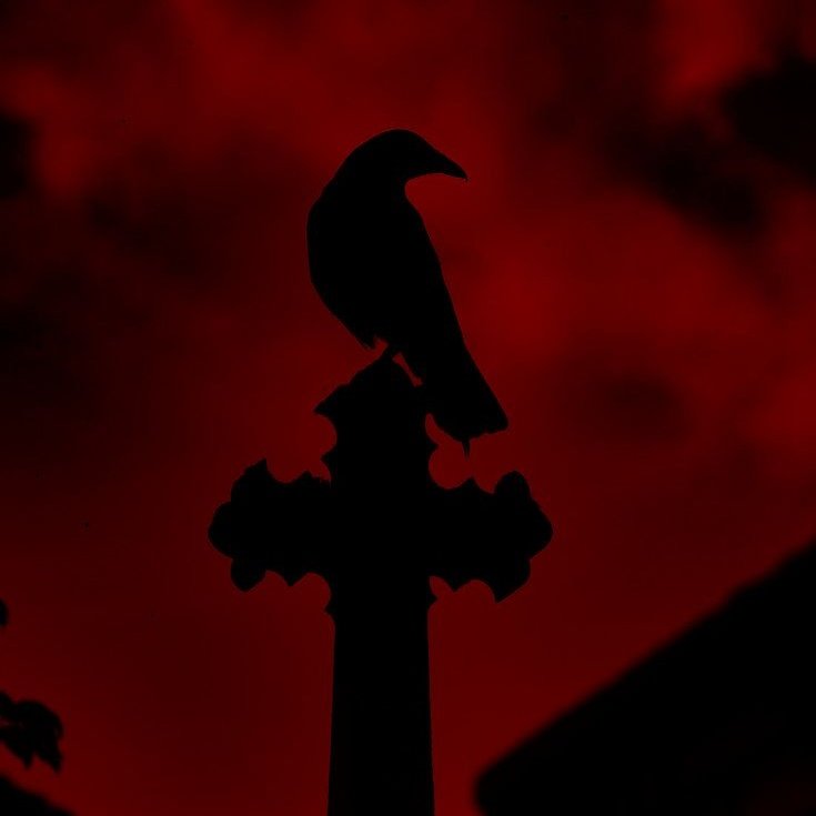 ๐๐ผ๐ฟ๐ฒ๐ป โจ (@vcmpblood) on Twitter photo โ โ โ โ โ โ โ โ โ โ โ โ โ โ โ โ โ โ โ โ โ โ โ โ โ โ โ โ โ โ โ โ โ โ โ โ โ โ โ โ โ
โ ๐๐ผ ๐๐ผ๐ป๐ ๐๐ผ๐ ๐ฐ๐ผ๐บ๐ฒ ๐๐ถ๐๐ต ๐บ๐ฒ ๐ฎ๐ป๐ฑ ๐๐ฎ๐๐๐ฒ ๐ถ๐บ๐บ๐ผ๐ฟ๐๐ฎ๐น๐ถ๐๐? โ
โ โ โ โ โ โ โ โ โ โ โ โ โ โ โ โ โ โ โ โ โ โ โ โ โ โ โ โ โ โ โ โ โ โ โ โ โ โ โ โ โ โ โ โ โ โ โ โ โ โ โ โ โ โ โ โ โ โ โ โ โ โ โ โ โ โ โ โ โ โ โ โ โ โ โ โ โ โ โ โ โ โ
โ ๐๐ผ ๐๐ผ๐ป๐ ๐๐ผ๐ ๐ฐ๐ผ๐บ๐ฒ ๐๐ถ๐๐ต ๐บ๐ฒ ๐ฎ๐ป๐ฑ ๐๐ฎ๐๐๐ฒ ๐ถ๐บ๐บ๐ผ๐ฟ๐๐ฎ๐น๐ถ๐๐? โ
โ โ โ โ โ โ โ โ โ โ โ โ โ โ โ โ โ โ โ โ โ โ โ โ โ โ โ โ โ โ โ โ โ โ โ โ โ โ โ โ โ 