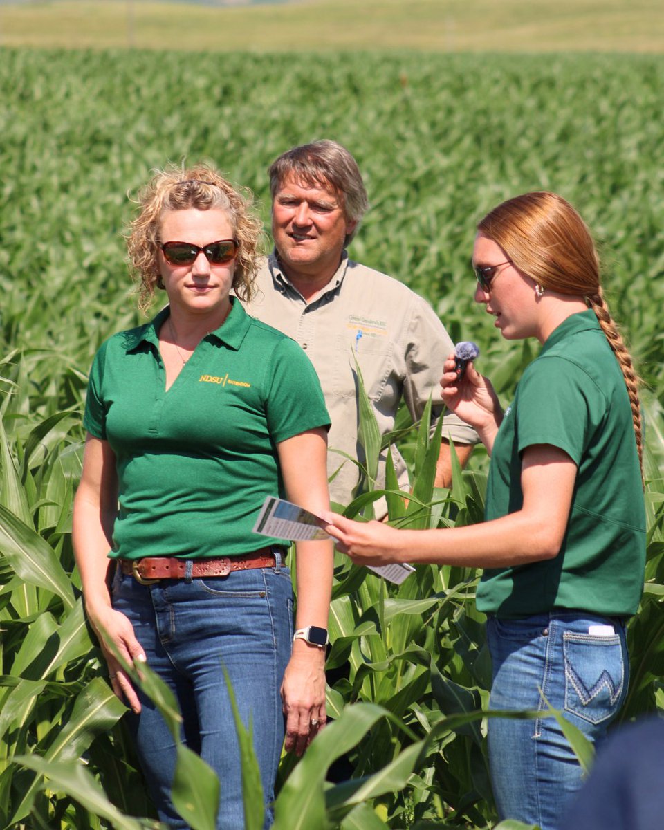 ndsucafsnr's tweet image. Graduate students Katrina Kratzke and Josh Wianecki from the NDSU Animal Sciences Department represented CAFSNR at the Central Grasslands Research Extension Center Field Day!
Katrina presented on year four of her project, incorporating winter cereals and grazing into a…