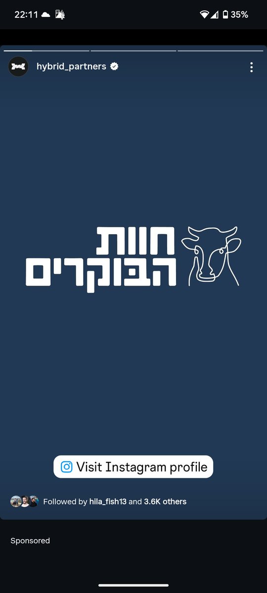 הפרה הזאת נראית כמו חן חרפוף