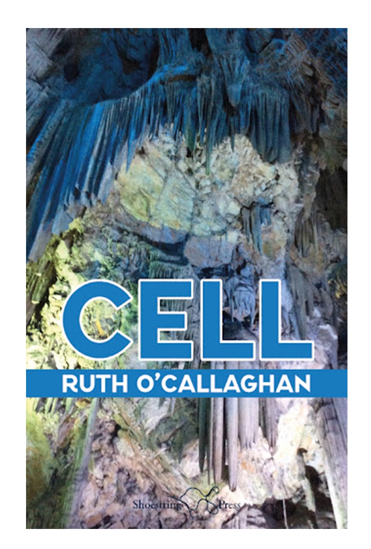 Poetry review – Cell: Nick Cooke takes a serious look at the very serious themes addressed in a powerful new collection by Ruth O’Callaghan: londongrip.co.uk/2025/07/london…