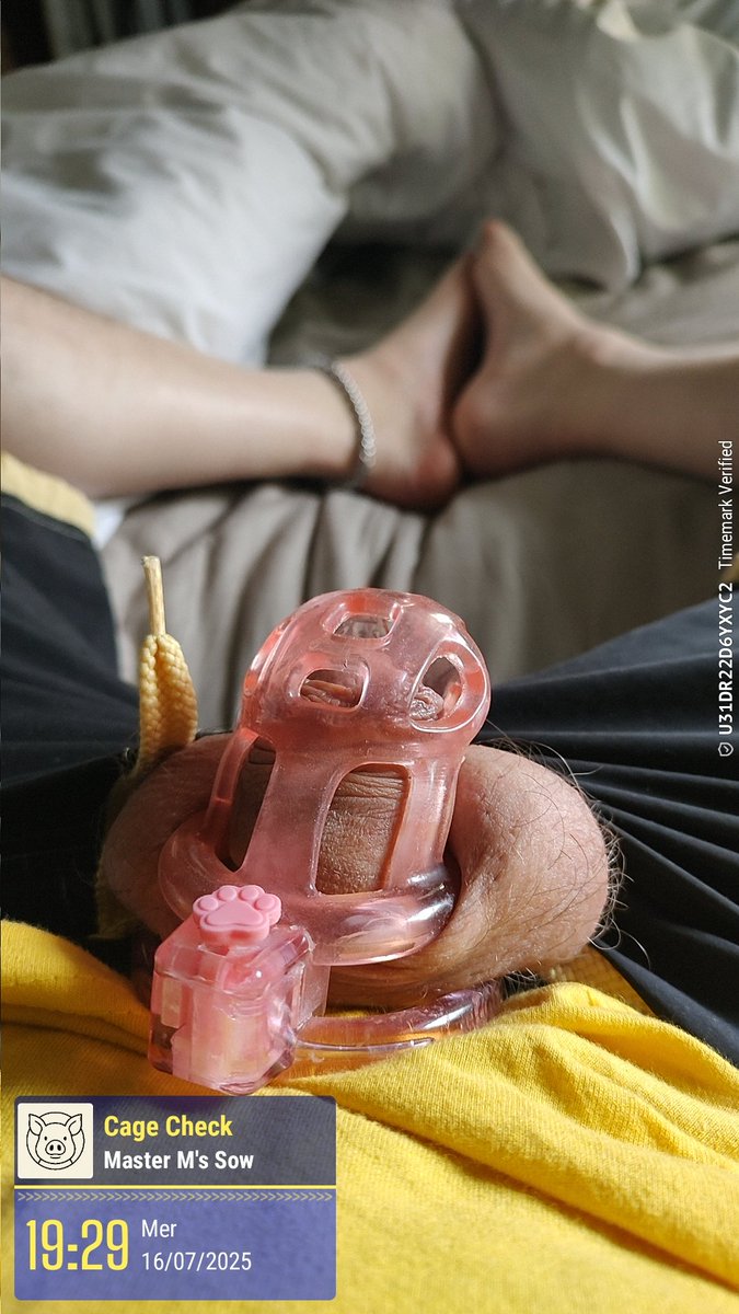 Meido (@manekimeido) on Twitter photo 