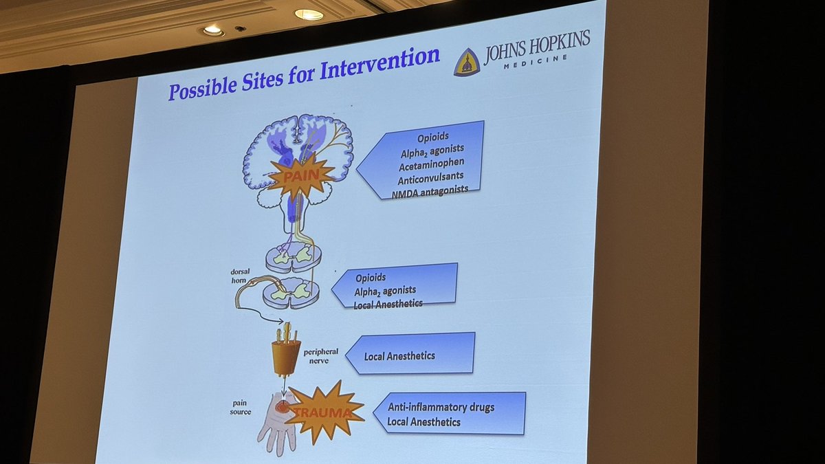 indigodoc's tweet image. Multimodal analgesia in trauma and ICU patients Dr Marie Hanna from @JohnsHopkins #csasummerconf25