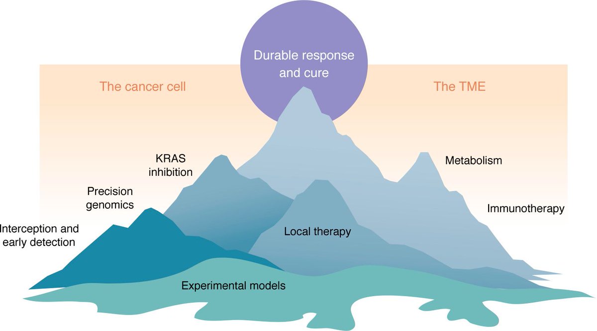 the_asci's tweet image. Pancreatic Ductal Adenocarcinoma: The Everest of Cancer Biology
ASCI member @BenStanger01 @PennMedicine introduces the JCI review collection on pancreas cancer.
Full report: jci.org/articles/view/…