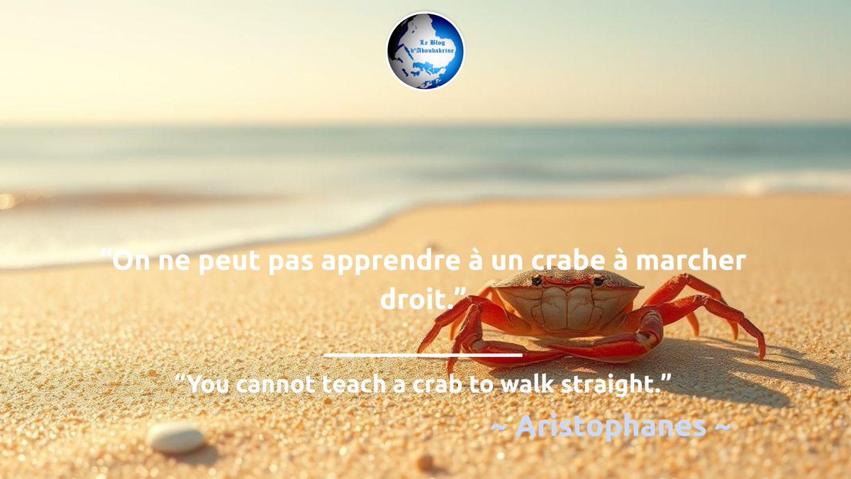 KanThread's tweet image. Fais confiance à ta propre route, personne ne peut te montrer le chemin vers le succès. Tu es unique, avec tes propres forces et faiblesses. Alors, arrête de comparer et commence à créer ton propre chemin 💪

#motivation #developpementpersonnel #liberté #réussir
