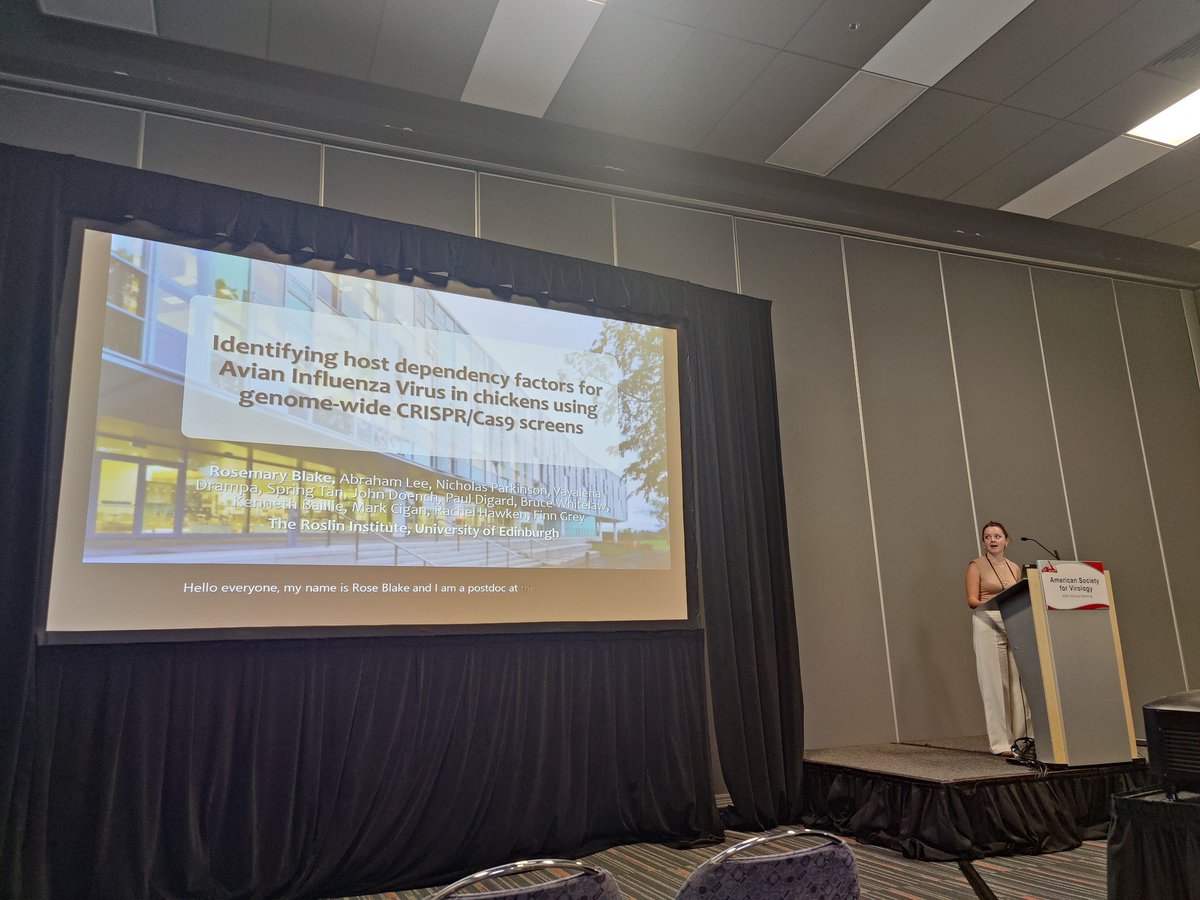 Federico De Angelis (@federicodeang12) on Twitter photo Next up! Absolutely phenomenal postdoc <a href="/Rose_A_Blake/">Rose Blake</a> from @thegraylab at the <a href="/roslininstitute/">The Roslin Institute</a> working on CRISPR screens to identify IAV host-dependency factors.
Beautifully explained and heaps of data🔥 #asv2025 Next up! Absolutely phenomenal postdoc <a href="/Rose_A_Blake/">Rose Blake</a> from @thegraylab at the <a href="/roslininstitute/">The Roslin Institute</a> working on CRISPR screens to identify IAV host-dependency factors.
Beautifully explained and heaps of data🔥 #asv2025
