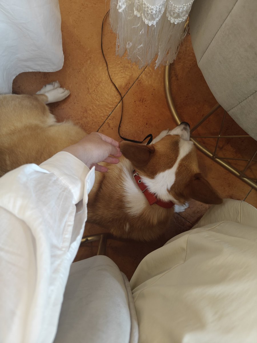 随橙享 tweet media