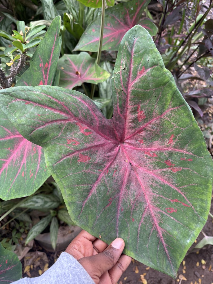 justmhide's tweet image. Nature is such an artist…

❤️