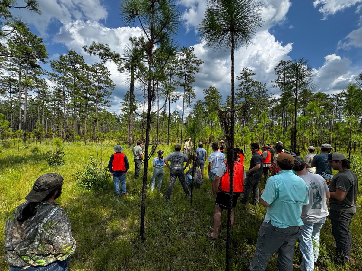 Ajay Sharma : Forestry and Ecology Lab tweet media