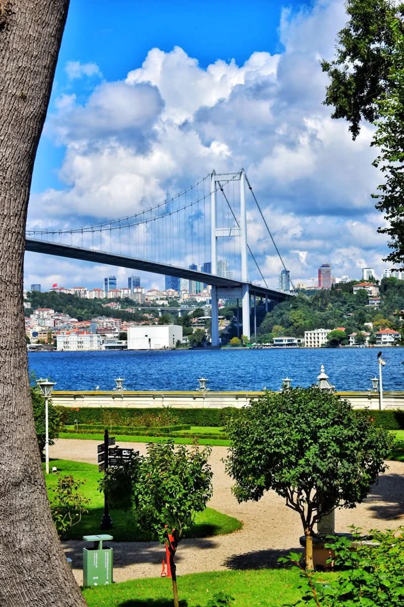 Sfran_34's tweet image. Sonra Edip Cansever&apos;le çayımızı yudumlasak
Sohbetimizden ağırlaşan masada

Nilgün Marmara o güzelim, canım Yalnızlığmı
Geri getirse bana.

Son yaşadığım paragrafı
Temize çekse Murathan Mungan Aşkla.

Ve sonra Ahmet Haşim elimden tutsa
Son basamağında merdivenin