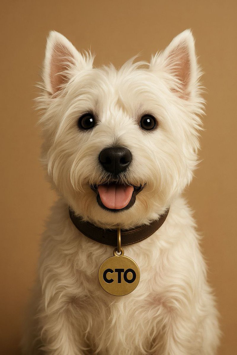 <a href="/ApeMP5/">Ape 🦍</a> $XIAOBAI don’t tell anyone