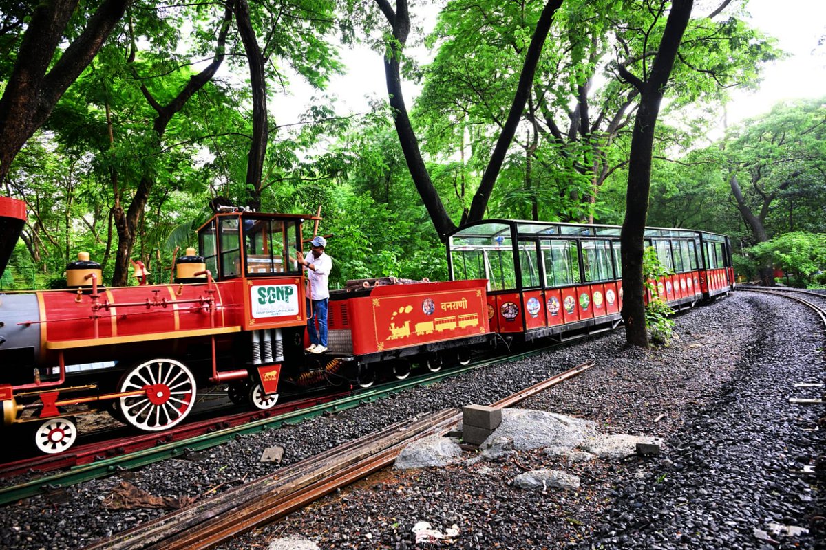'Van Rani' is back: The popular toy train at #SanjayGandhiNationalPark (SGNP), fondly called ‘Van Rani', is gearing up for a grand comeback in #Mumbai, #Maharashtra 

 📸Uma Kadam